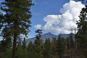 San Francisco Peaks seen from the Dipper Trail north of Flagstaff.